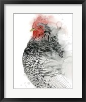 Plymouth Rooster I Framed Print