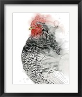 Plymouth Rooster I Framed Print