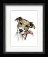 Vogue Dog I Framed Print