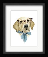 Vogue Dog IV Framed Print