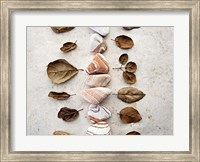 Gifts of the Earth V Fine Art Print