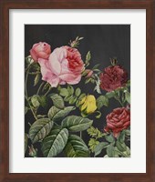 Redoute's Bouquet I Fine Art Print