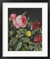 Redoute's Bouquet I Framed Print