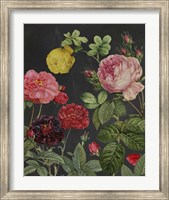 Redoute's Bouquet II Fine Art Print