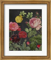 Redoute's Bouquet II Fine Art Print