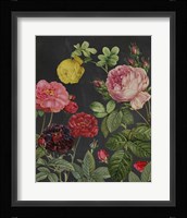 Redoute's Bouquet II Fine Art Print