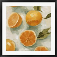 Fresh Citrus I Fine Art Print