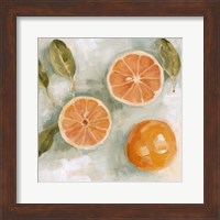 Fresh Citrus II Fine Art Print