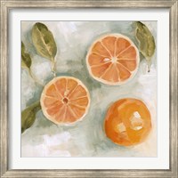 Fresh Citrus III Fine Art Print