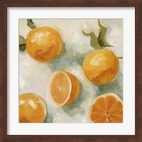 Fresh Citrus IV Fine Art Print