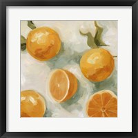 Fresh Citrus IV Fine Art Print