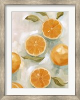 Fresh Citrus VI Fine Art Print