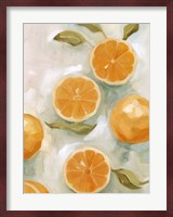 Fresh Citrus VI Fine Art Print