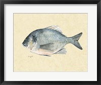 Catch of the Day I Framed Print