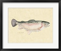 Catch of the Day III Framed Print