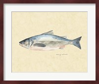 Catch of the Day IV Fine Art Print