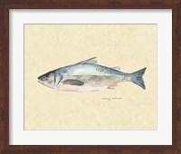 Catch of the Day IV Fine Art Print