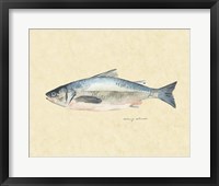 Catch of the Day IV Framed Print