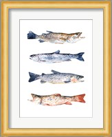 Stacked Trout I Fine Art Print