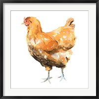 Wild Chicken II Fine Art Print