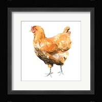 Wild Chicken II Fine Art Print