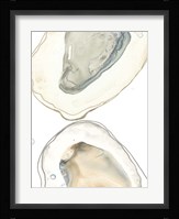 Ocean Oysters II Framed Print