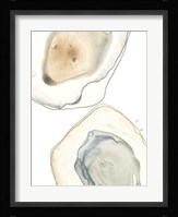 Ocean Oysters III Framed Print
