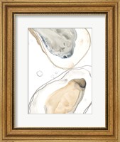 Ocean Oysters IV Fine Art Print