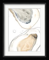 Ocean Oysters IV Framed Print