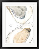 Ocean Oysters IV Framed Print