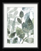 Aquatic Leaves I Framed Print