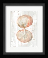 Muted Molusk I Framed Print