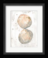 Muted Molusk II Framed Print