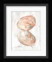 Muted Molusk III Framed Print