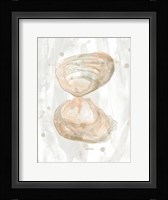 Muted Molusk IV Framed Print