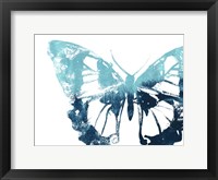 Butterfly Imprint I Framed Print