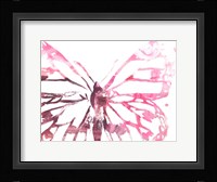 Butterfly Imprint II Framed Print