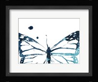 Butterfly Imprint III Framed Print