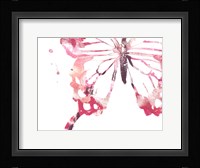 Butterfly Imprint IV Framed Print