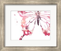 Butterfly Imprint IV Fine Art Print