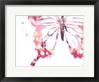 Butterfly Imprint IV Framed Print