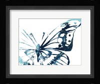 Butterfly Imprint V Framed Print