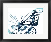 Butterfly Imprint V Framed Print