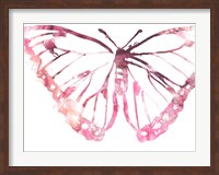 Butterfly Imprint VI Fine Art Print