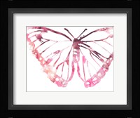 Butterfly Imprint VI Framed Print