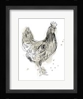 Feathered Fowl I Framed Print