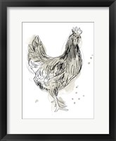 Feathered Fowl I Framed Print