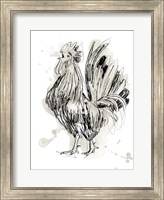 Feathered Fowl II Fine Art Print