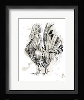 Feathered Fowl II Framed Print