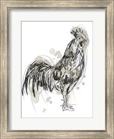 Feathered Fowl III Fine Art Print